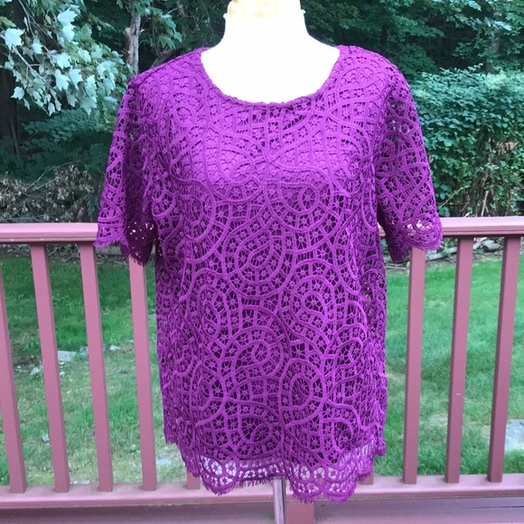 Philosophy Tops - New! Philosophy large plum lace S/S  blouse.
